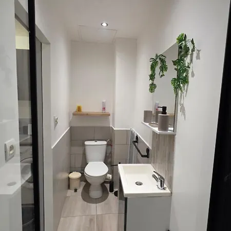 شقة Le Petit Cocon Centre *