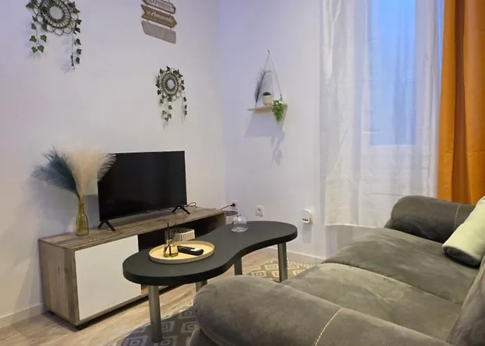 Apartamento Le Petit Cocon Centre *