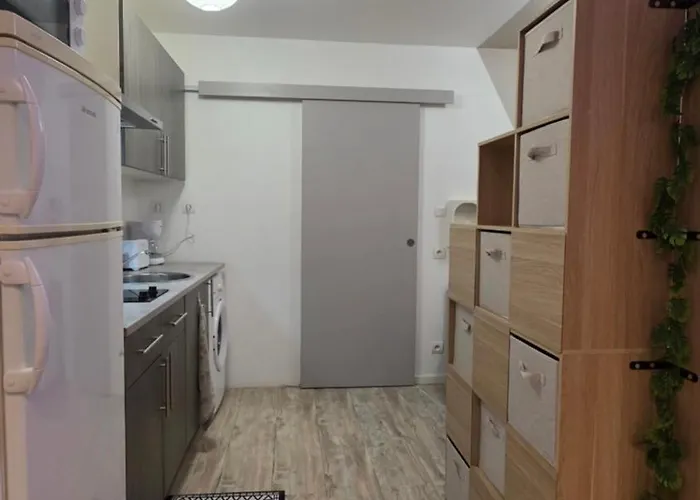Apartamento Le Petit Cocon Centre *