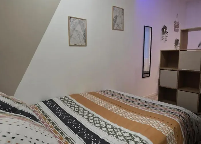 Apartamento Le Petit Cocon Centre